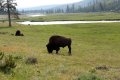 yellowstone-img_2592.jpg