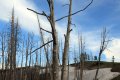 yellowstone-img_2401.jpg