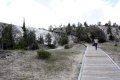 yellowstone-img_2101.jpg